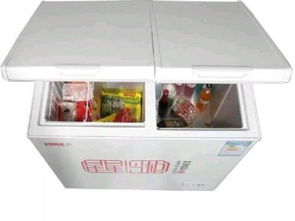 重慶家電設備轉讓 雙溫大容量冰柜，價格從優